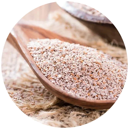 Psyllium